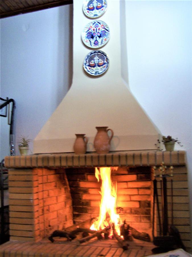 Kastorio-villy's Apartment