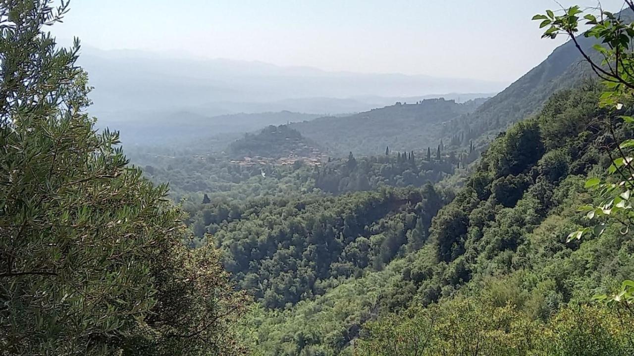 Kastorio-villy's Kastorion